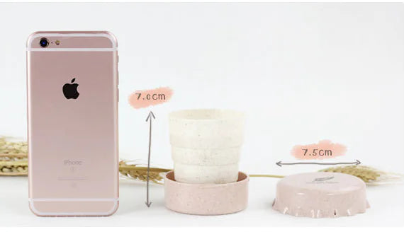 Portable Collapsible Travel Water Cup